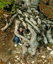 Зрим в корень! Это удивительное дерево я отыскала в осеннем Крыму (2000 г.)